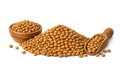 Bengal gram