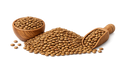 Horse gram (Kollu)