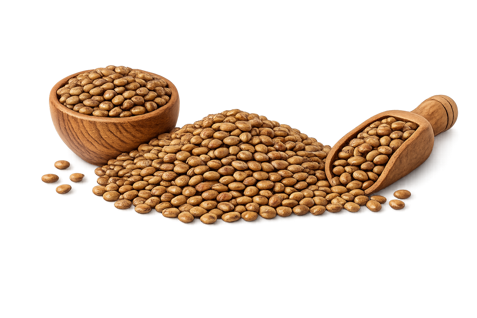 Horse gram (Kollu)