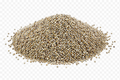Kambu (Pearl millet)