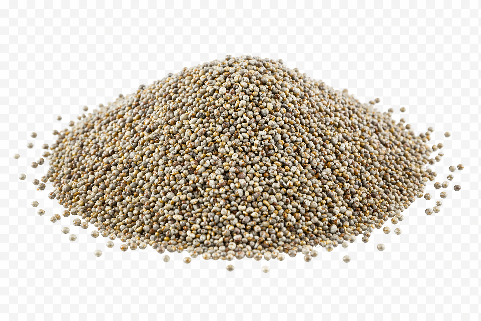 Kambu (Pearl millet)
