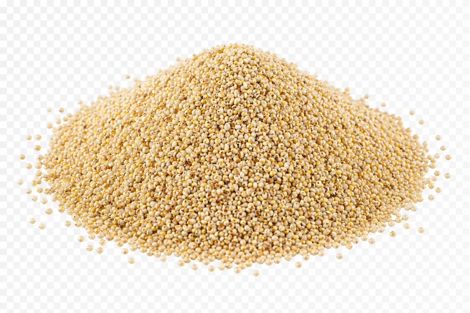 Samai (Little millet)