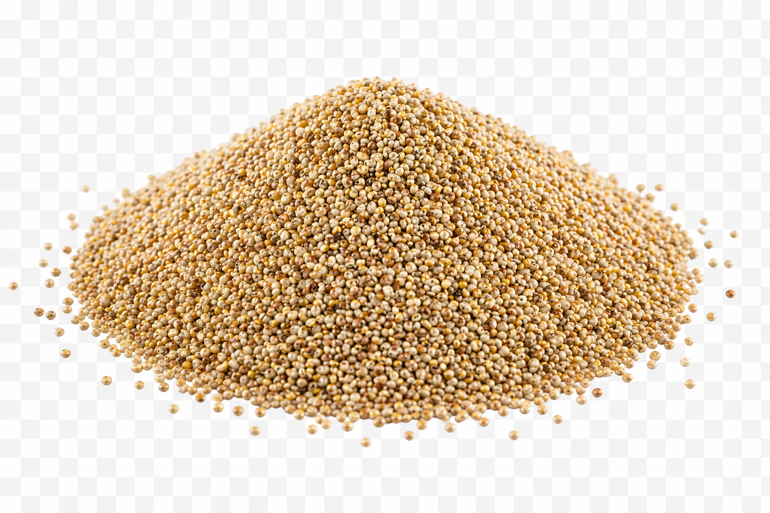 Varagu (Kodo millet)