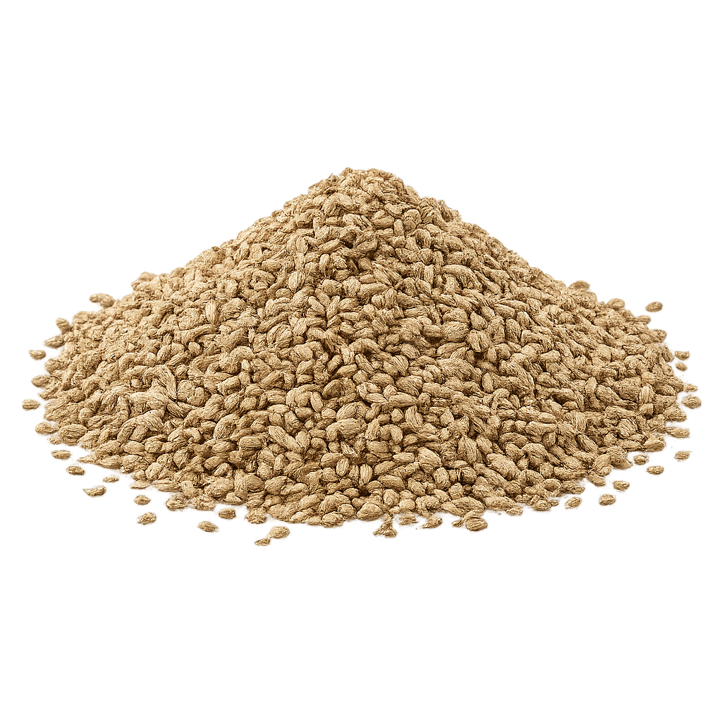 Ajwain