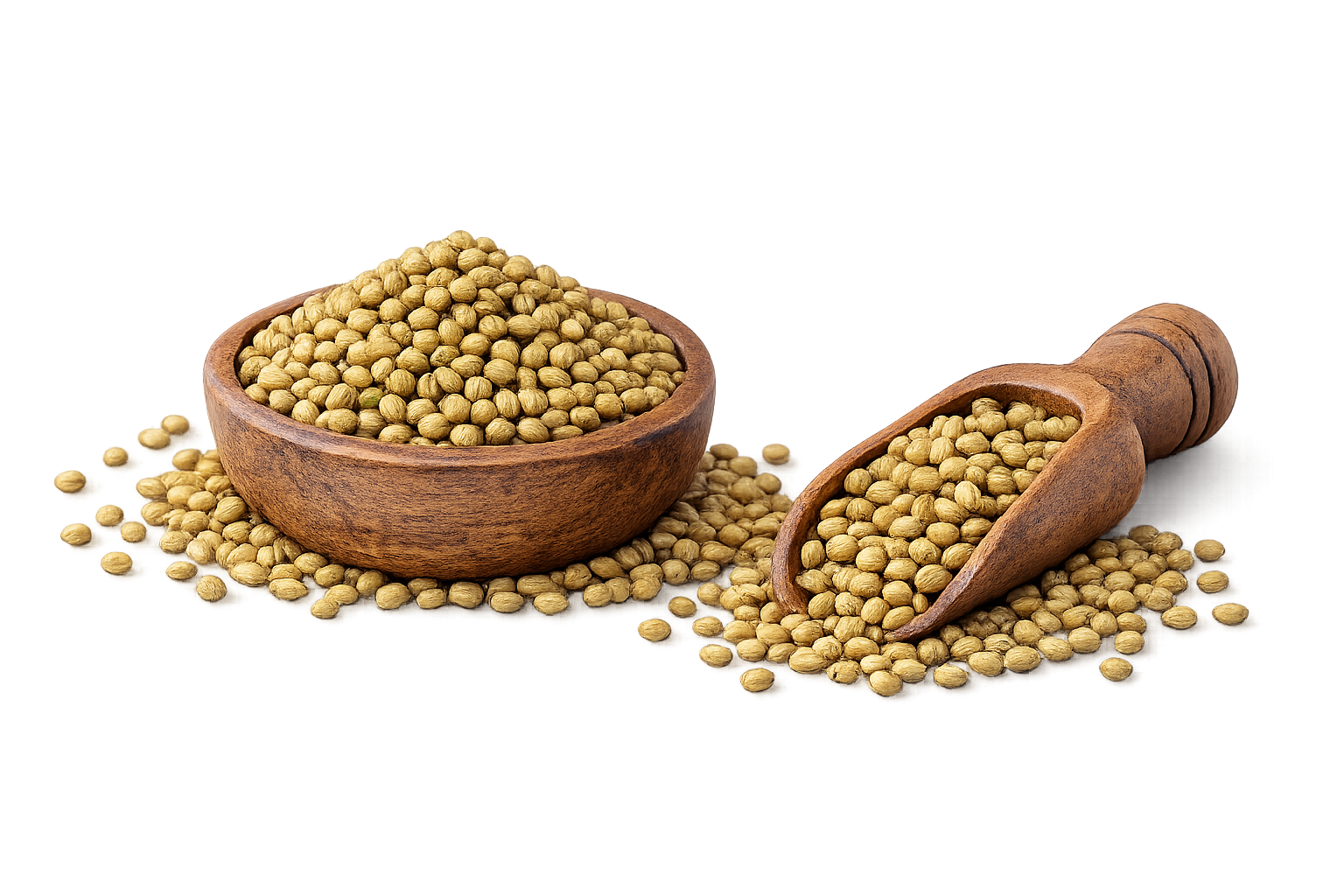 Coriander seeds
